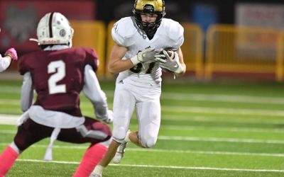 Panthers embrace use of multiple tight ends in rotation