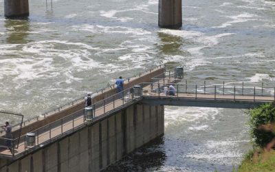 Lake Lavon water levels force park, boat ramp closings