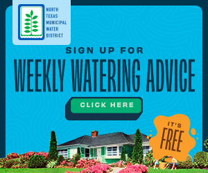 NTMWD Water Advice 2023