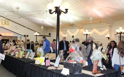WISD gala returns