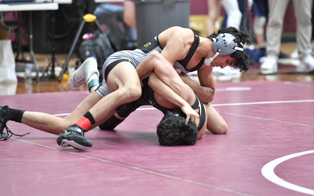 Three Panthers qualify for state