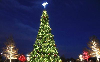 Christmas in the Park, holiday events on schedule