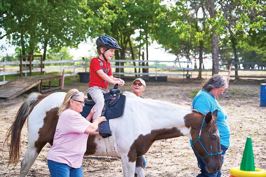 Healing power of horses helps local youth