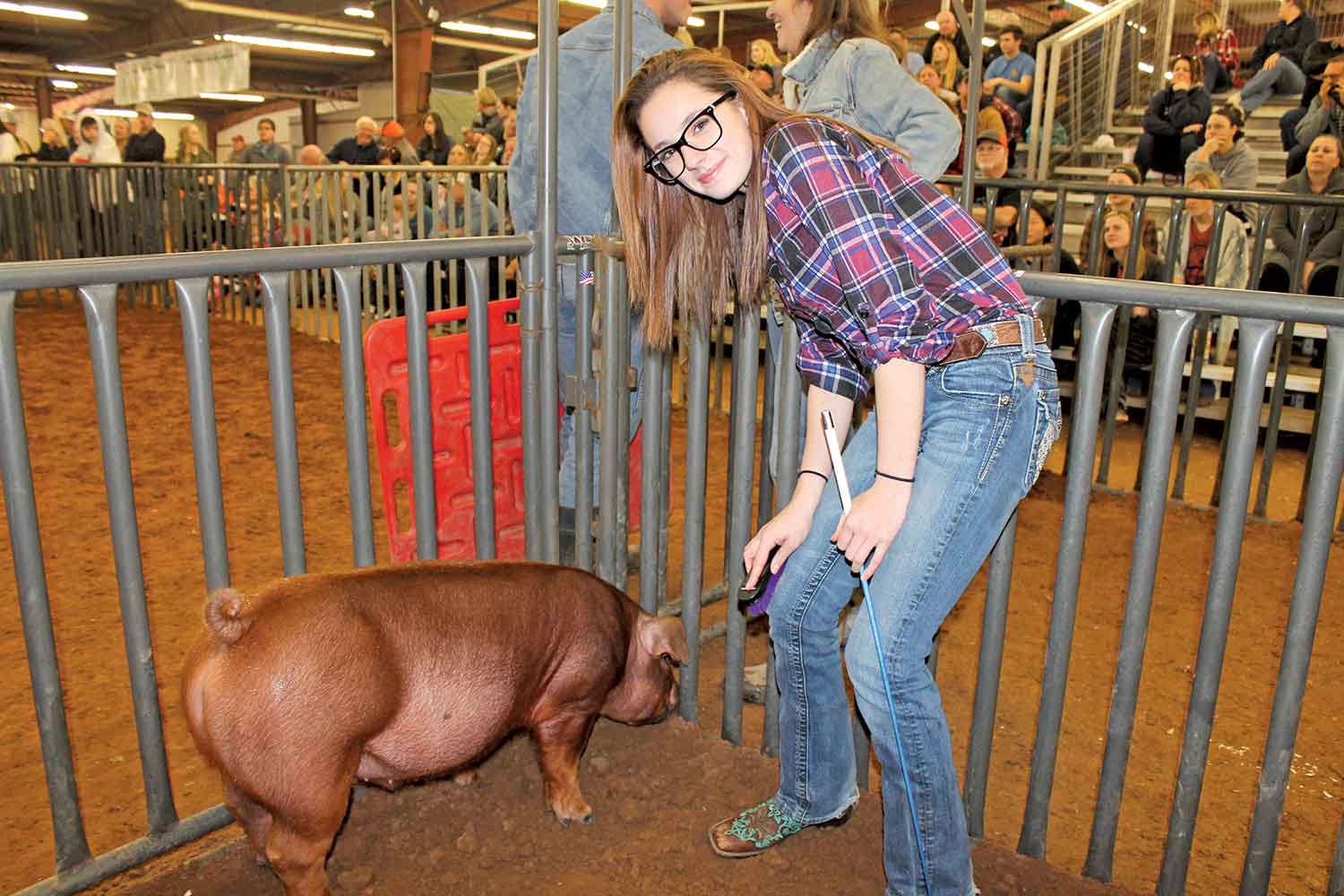 County livestock show opens Jan. 7
