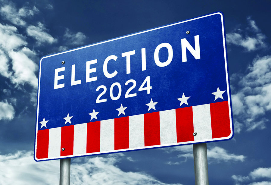 Texas Senate Election 2024 Polls Hayley Auberta