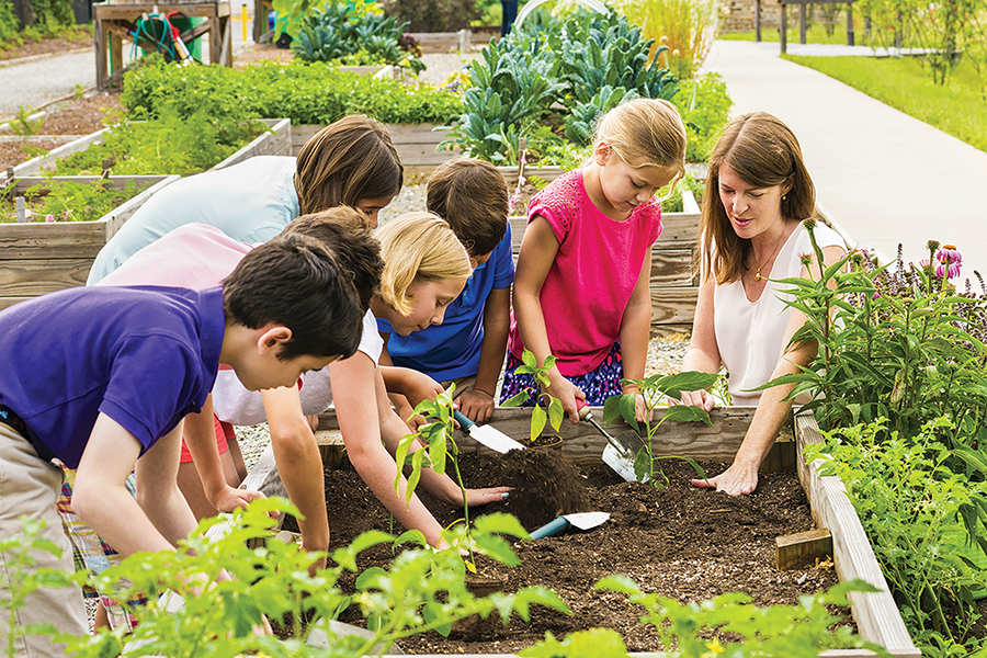 Research, plan and prepare before starting your own garden