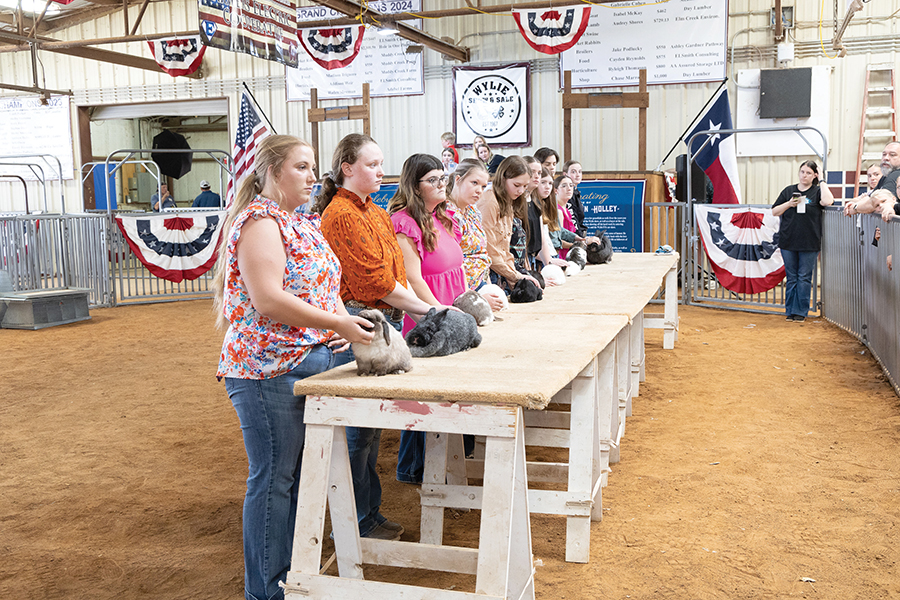 Annual Show and Sale exhibits FFA, 4-H students’ skills