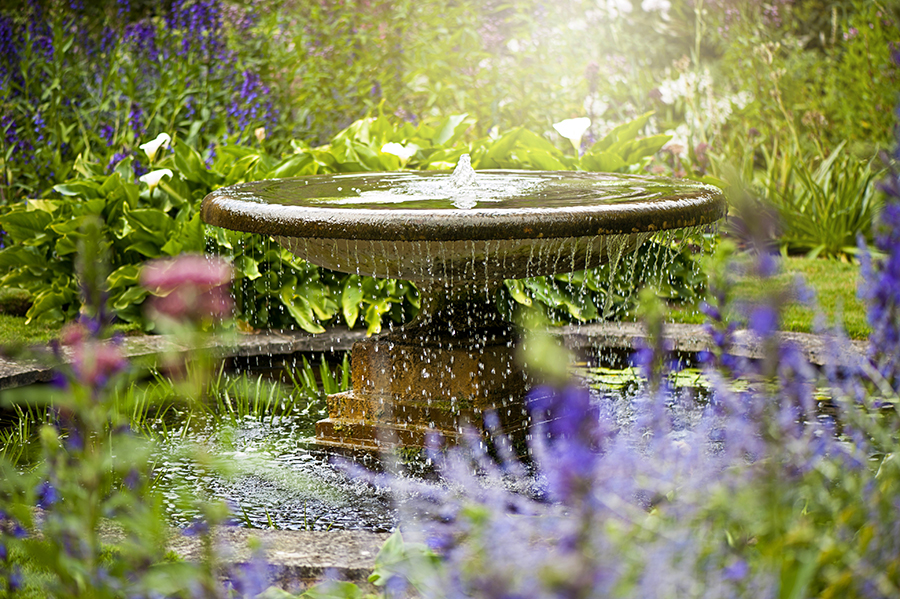 Backyard Bliss: Create a peaceful outdoor retreat