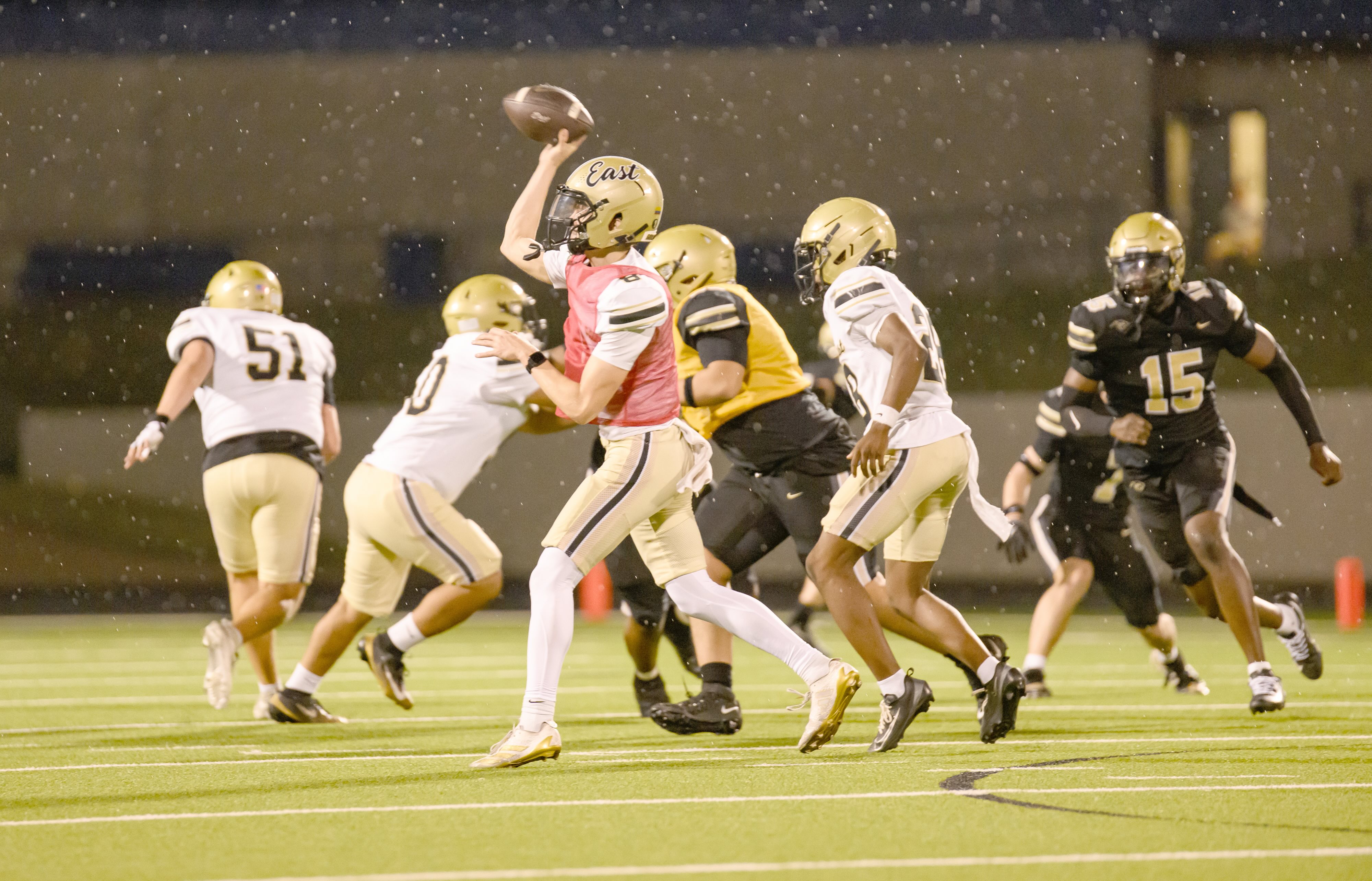 Panthers shine in spring football game
