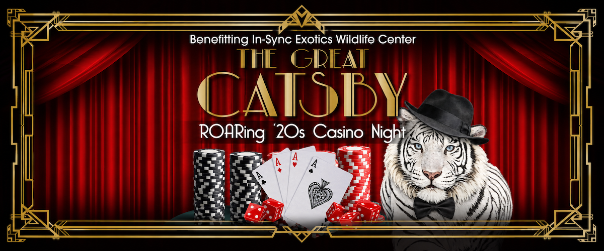 Big cats, big bets, big cause
